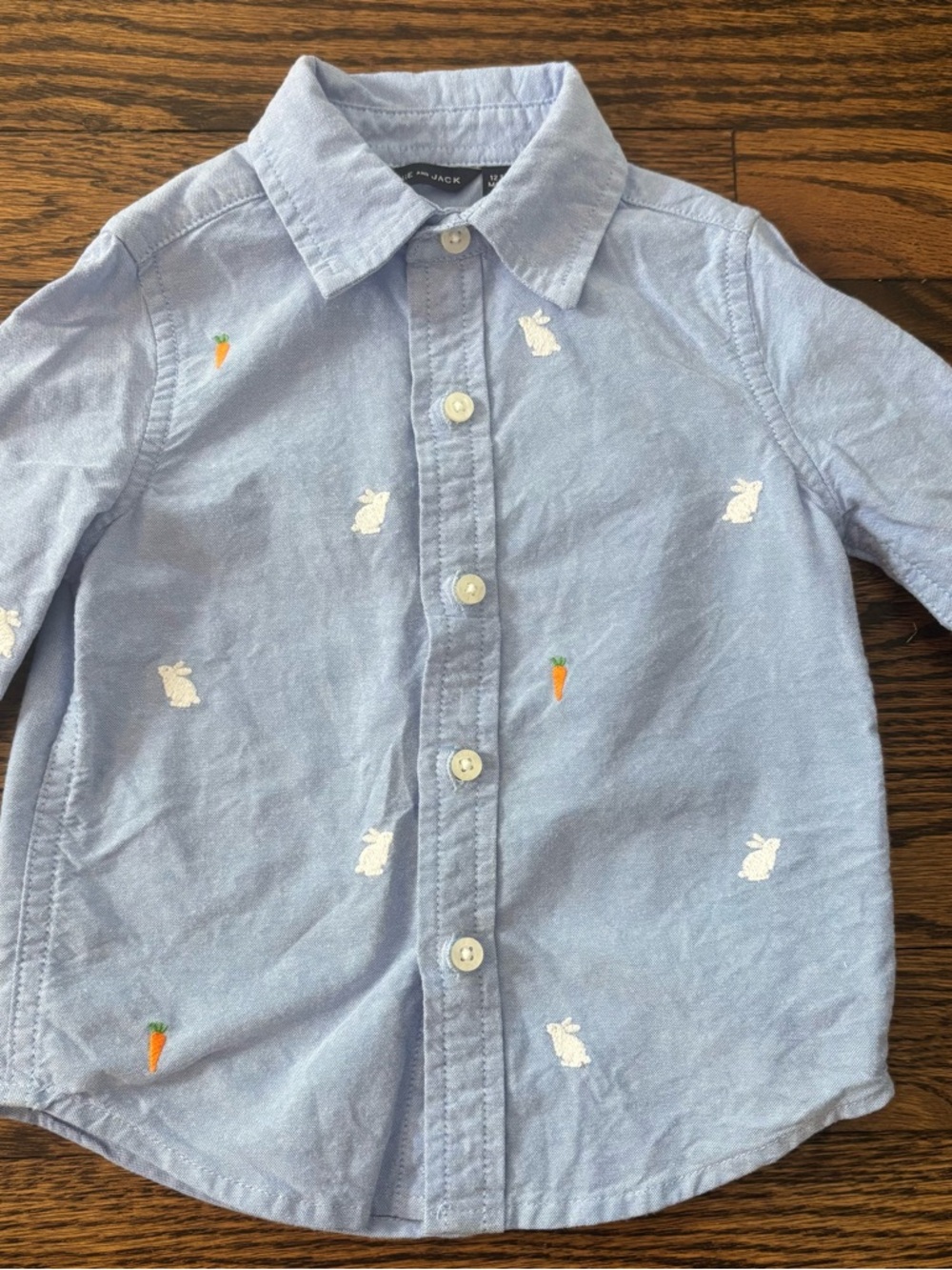 Janie and Jack Light Blue Embroidered Bunny & Carrot Button-Down Shirt 12-18M